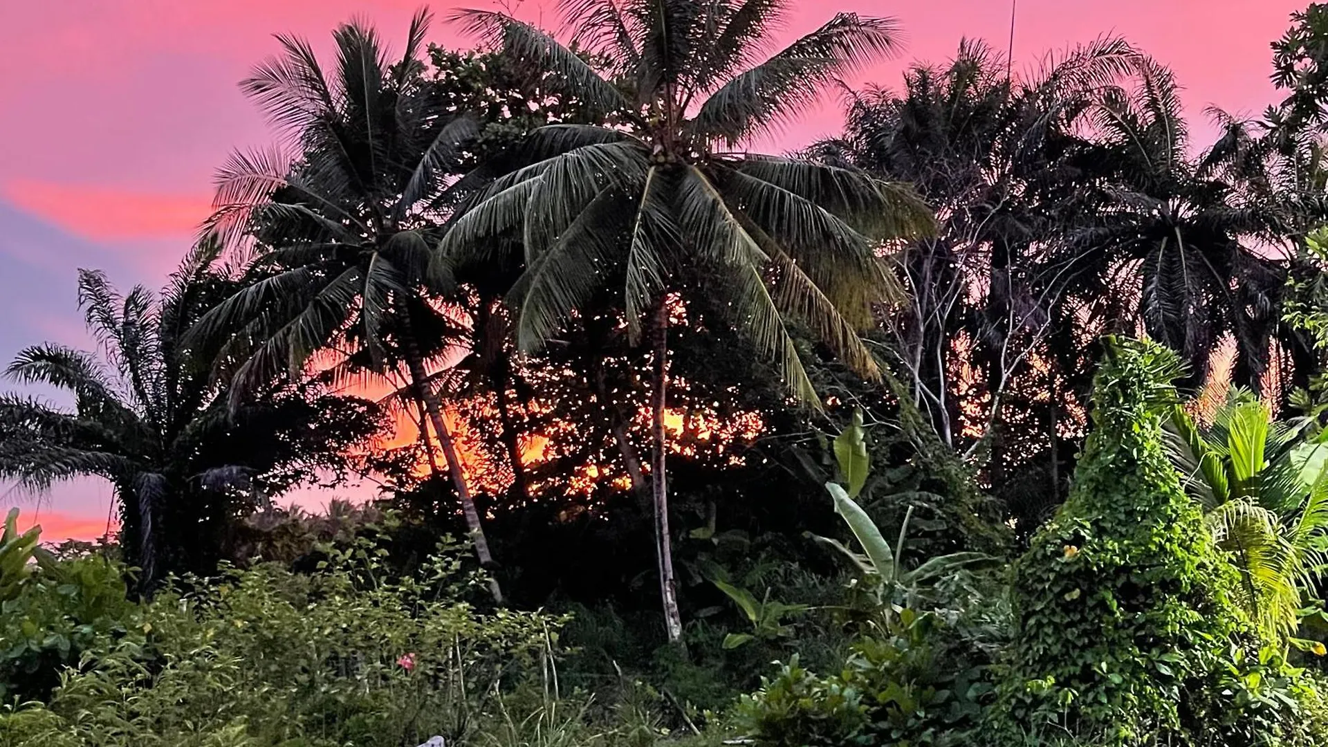 Apartamento Mango House. Padura Studio Cabarete